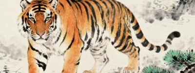 机不可失看牛羊猜打一最佳准确生肖,作答词语解释梳理