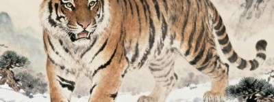 慨然允诺猜打一最佳准确生肖，解释词语释义落实