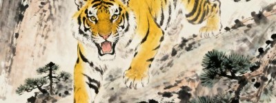 大巧若拙打一最佳生肖生肖，词语解答解析落实