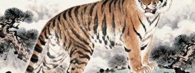 火眼金睛是指代表什么生肖，全面解答解释落实