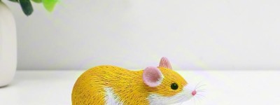 今期虎狗猪出特，八九三四特马出的最佳生肖什么，解释释义落实词语