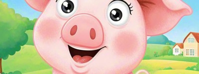 成双成对代表是什么生肖，精选词语揭晓释义