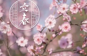 48星区速配是根据什么来的？2008年白羊和金牛具体分界线？