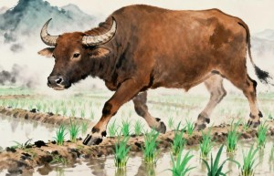 风雨水来六六顺打一生肖代表什么，最新解答揭晓落实