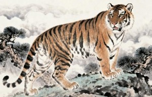 火眼金睛是指代表什么生肖，全面解答解释落实