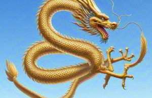 二下五上红波旺，水克土木反有财是指什么生肖，词语解释落实释义