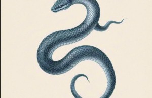 春满人间聚义堂是指什么生肖，词语解释落实释义