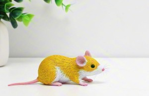 今期虎狗猪出特，八九三四特马出的最佳生肖什么，解释释义落实词语