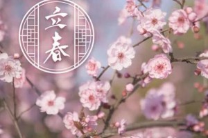 狮子男和双子男区别？双子女和狮子女谁更优秀？