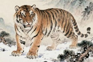 母慈子孝、搭桥牵线指是代表什么生肖,词语解答解析落实