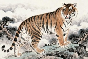 火眼金睛是指代表什么生肖，全面解答解释落实